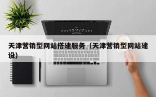 博尔塔拉天津营销型网站搭建服务（天津营销型网站建设）